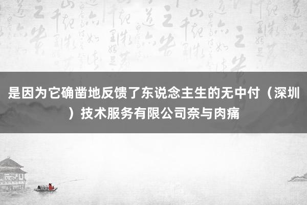 是因为它确凿地反馈了东说念主生的无中付(深圳)技术服务有限公司奈与肉痛
